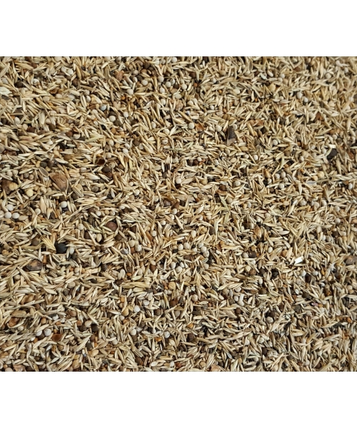 Blattner - Dzikie Nasiona - (Zioła zdrowia) 500 g