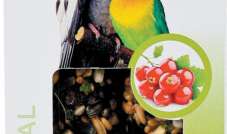 Crunchy Stick - Kolby dla średnich papug - Porzeczka & Jarzębina 115 g