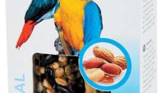 Crunchy Stick - Kolby dla dużych papug - Orzech Ziemny & Jabłko 115 g