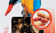 Crunchy Stick - Kolby dla dużych papug - Orzech Ziemny & Banan 115 g