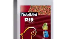 NutriBird - P19 Tropical - 1 kg - granulat rozpłodowy dla dużych papug(rozważany)