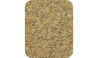 Ryż Paddy 1 kg
