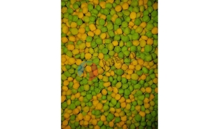 Ornitalia Perle Morbide ® Fruit Green-Yellow 1 kg - dla papug (rozważany)
