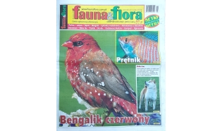 Fauna & Flora - 08/2022 Sierpień (283)