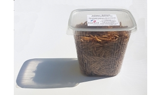 Suszone insecty - 70 g (insekty 100 %) Mącznik Młynarek