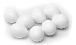 Jajka podkładowe dla średnich papug - 2,7 x 1,8 cm - 5 szt