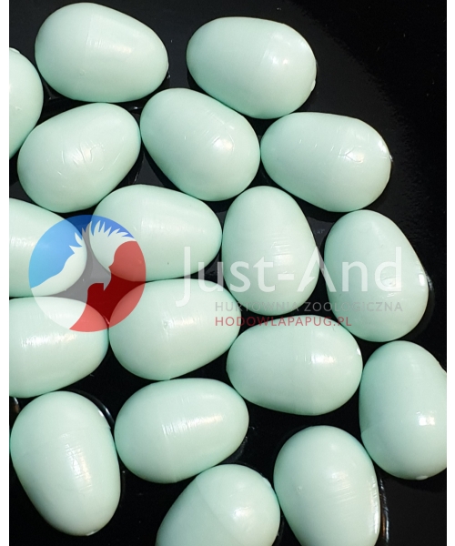 Quiko - Jajka podkładowe dla kanarków - 10 szt (niebieskie)