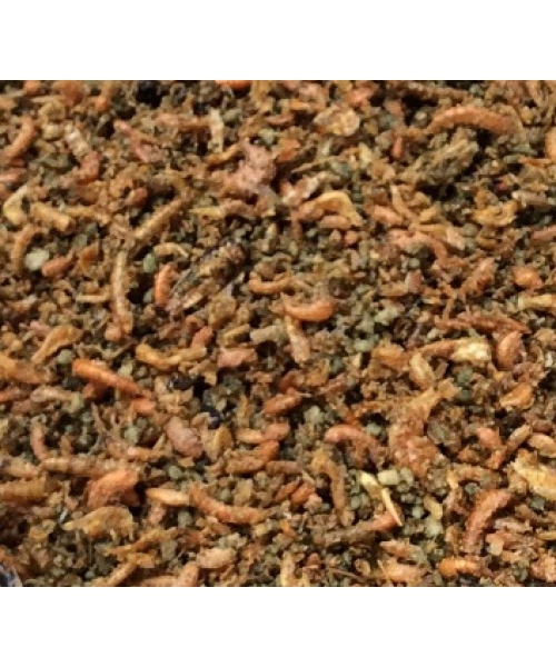 Deli Nature Insects Patee TOVO 500 g - Insekty 50%